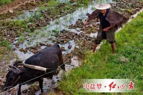 一些長期研究該問題的農(nóng)學(xué)家認(rèn)為，過去數(shù)千年的現(xiàn)實(shí)告訴我們，這一思路可能是錯誤的，那些純天然耕作的土地并沒有表現(xiàn)出“肥力十足”。相反，這種做法加速了土壤肥力的減退。