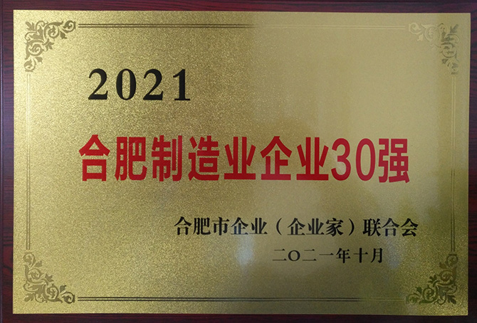 2021年合肥制造業(yè)企業(yè)30強(qiáng)